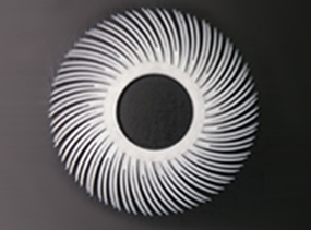 Xon® Dendroid brush(세정용)