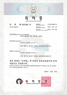 특허받은 폴리우레탄 각질 제거 스폰지